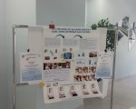 img (2)